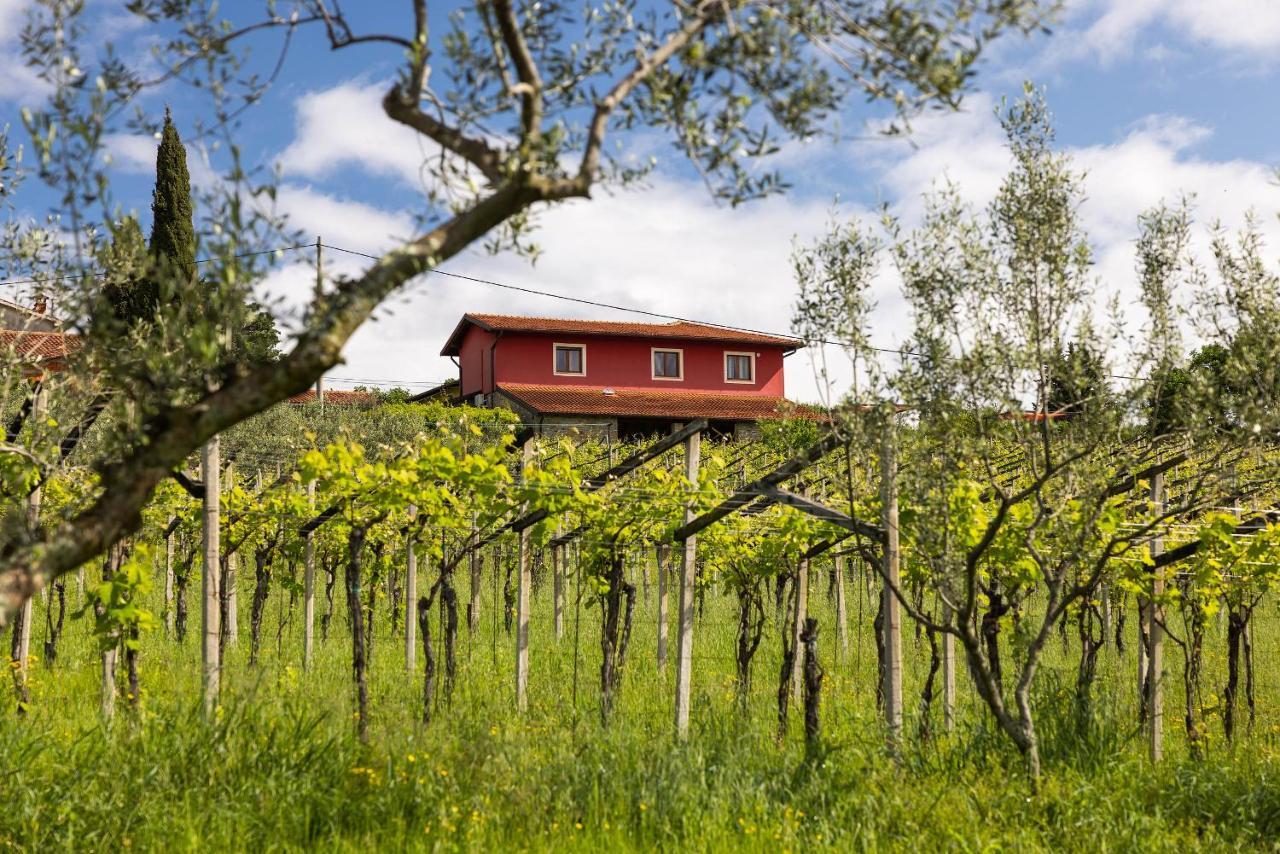 Touristfarm - Apartments "Red Fairytale" Марезиге Екстериор снимка