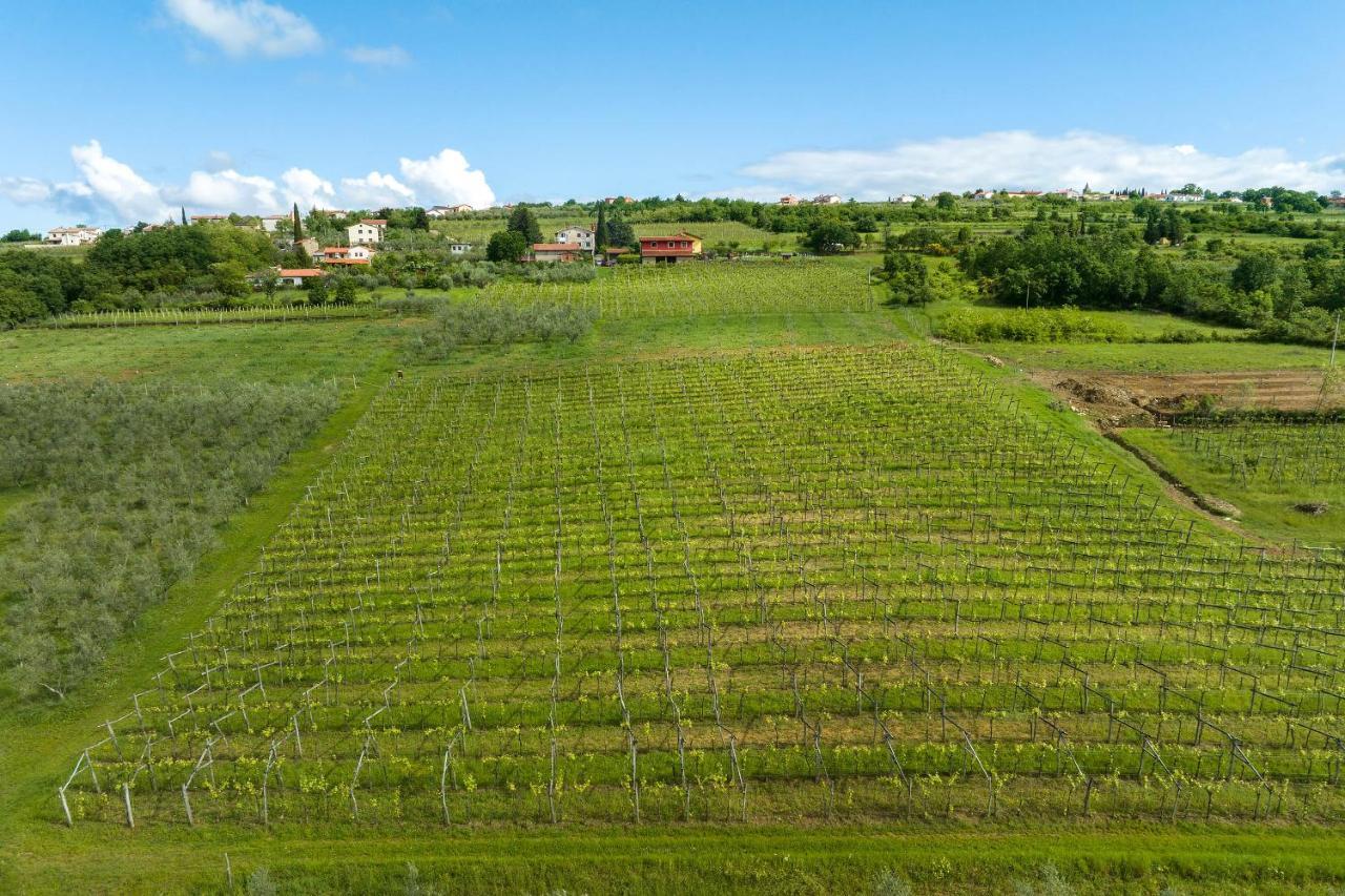 Touristfarm - Apartments "Red Fairytale" Марезиге Екстериор снимка